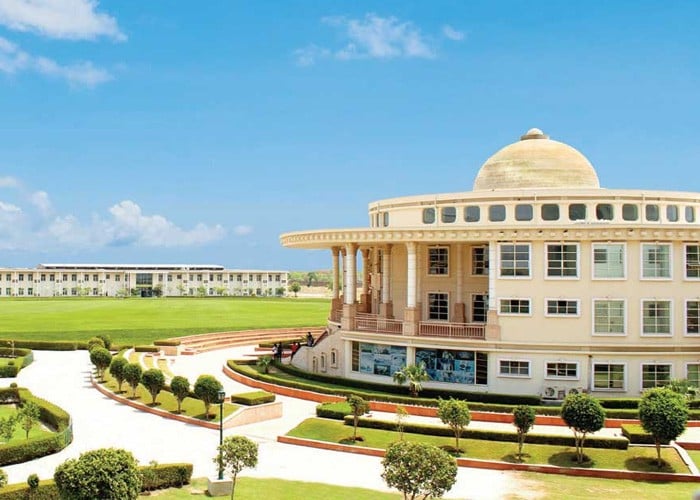Noida International University